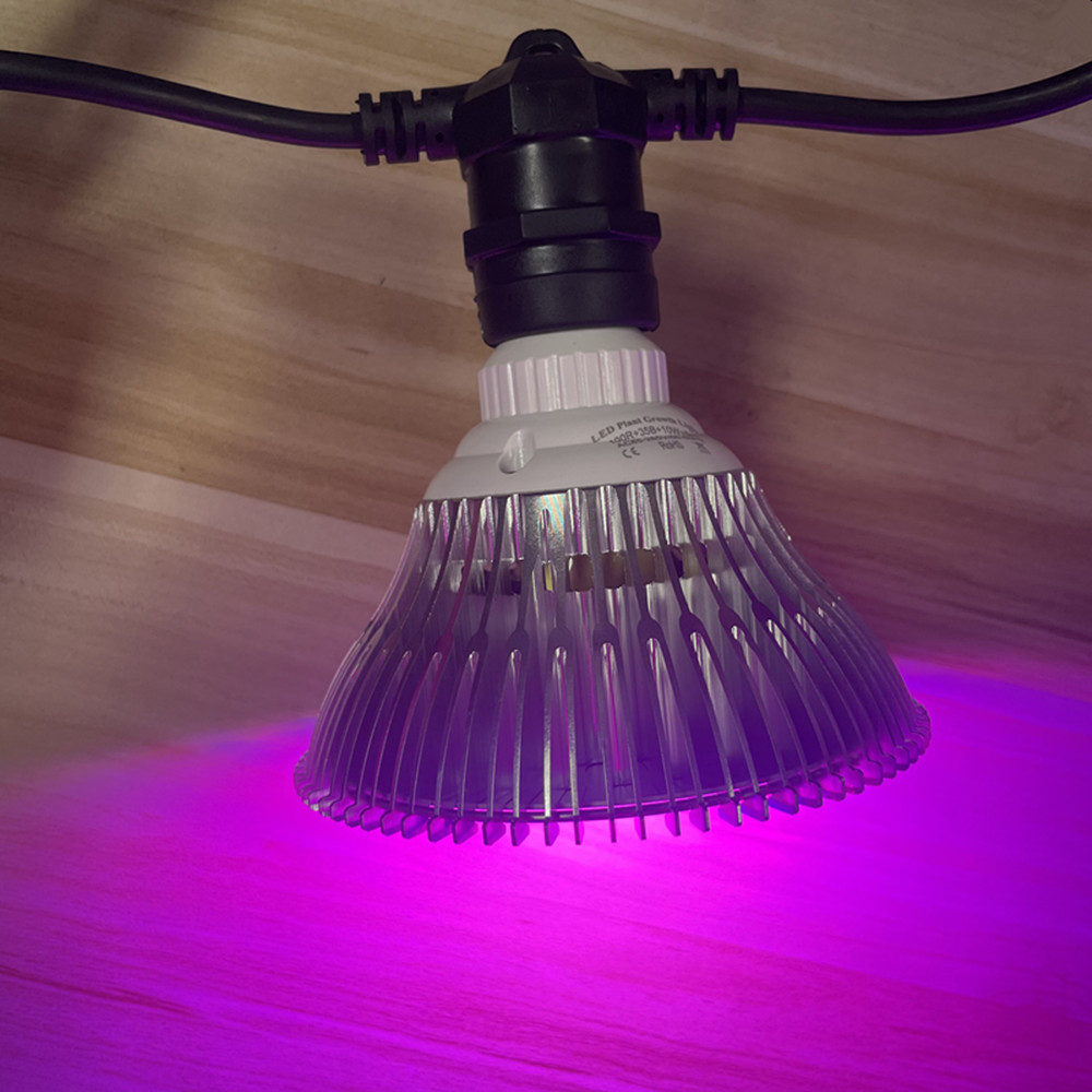 Cabo de LED de 10M à prova d'á - String Light Outdoor avaliação e preço
