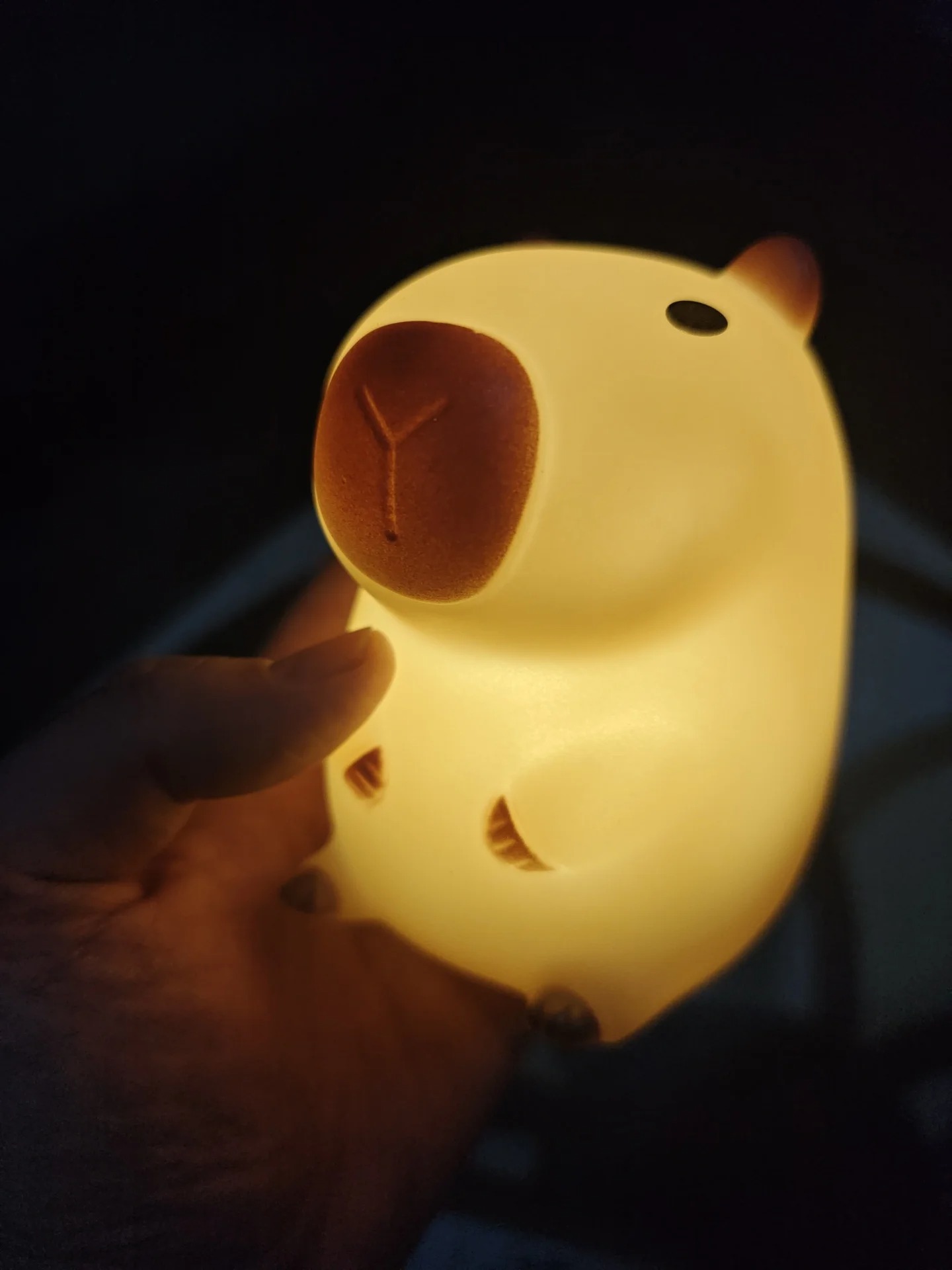 Luminária Noturna de Capivara  - Decor Lighting Sales avaliação e preço