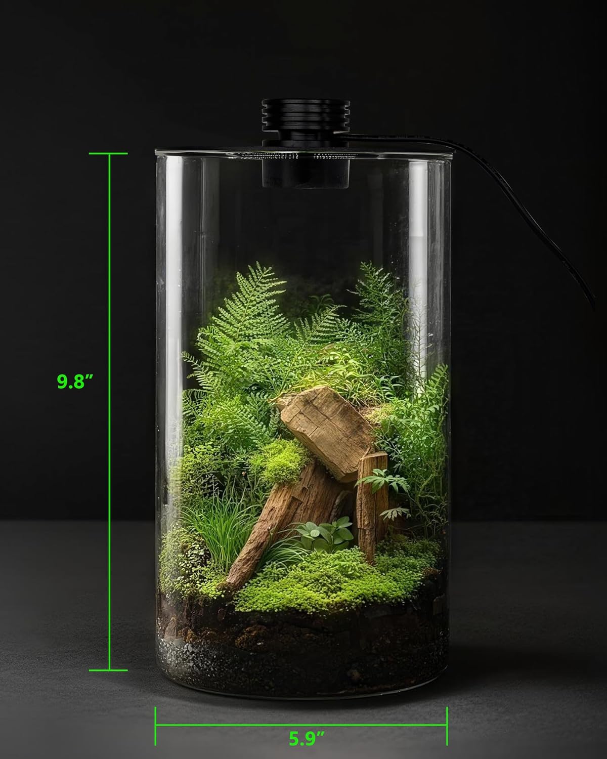 Terrário de Vidro Interno com  - Office Lighting Decor avaliação e preço